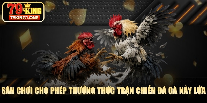 Sân chơi cho phép thưởng thức những trận chiến nảy lửa