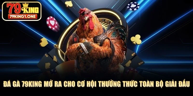 Đá gà 79KING mở ra cho cơ hội thưởng thức toàn bộ các giải đấu