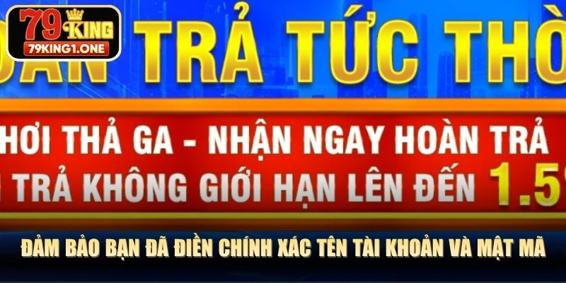 Đảm bảo bạn đã điền chính xác tên tài khoản và mật mã truy cập